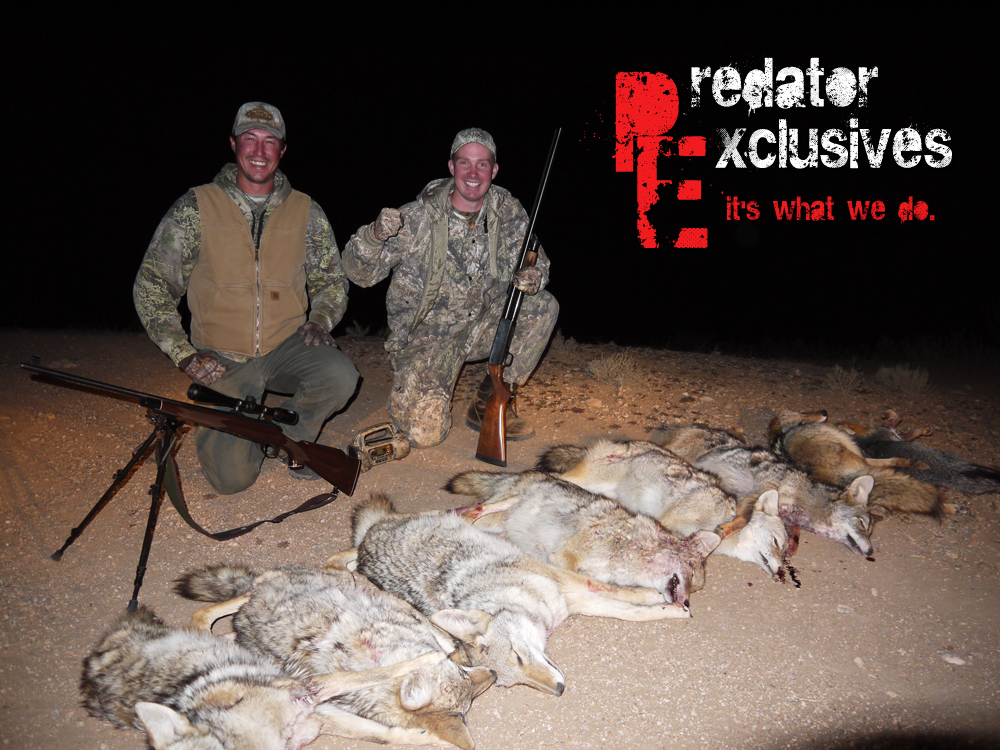 Guided Coyote Hunts in Arizona - Predator Exclusives
