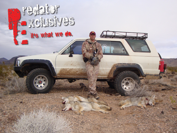 Southwest Guided Predator Hunts