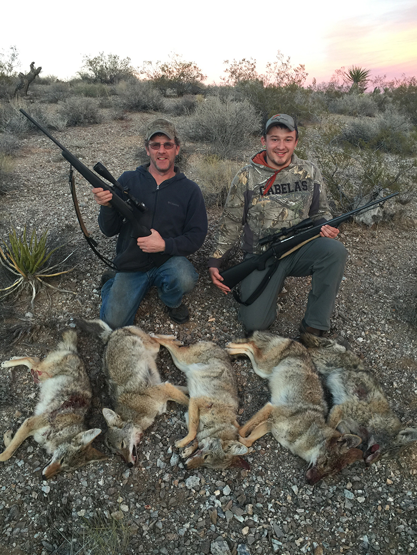 Arizona Predator Hunting Outfitters - AZ Predator Night Hunts, Guided Coyote,  Bobcat, Fox Hunts