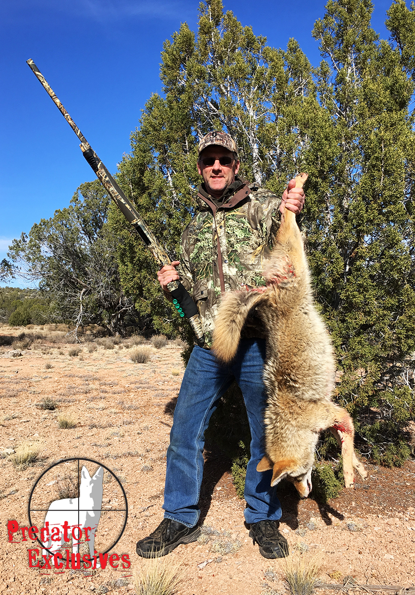 Guided Coyote Hunts in Arizona - Predator Exclusives
