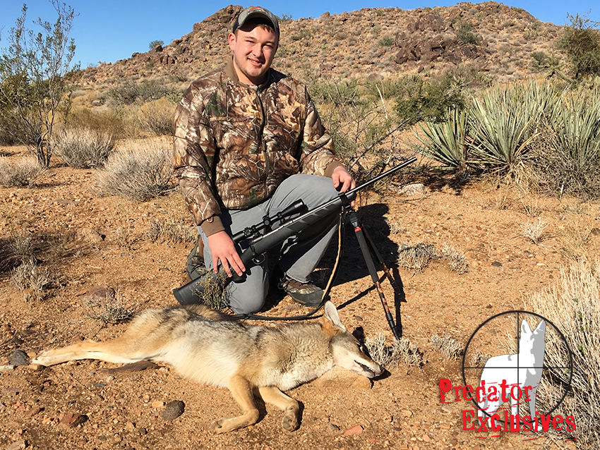 Guided Coyote Hunts in Arizona - Predator Exclusives