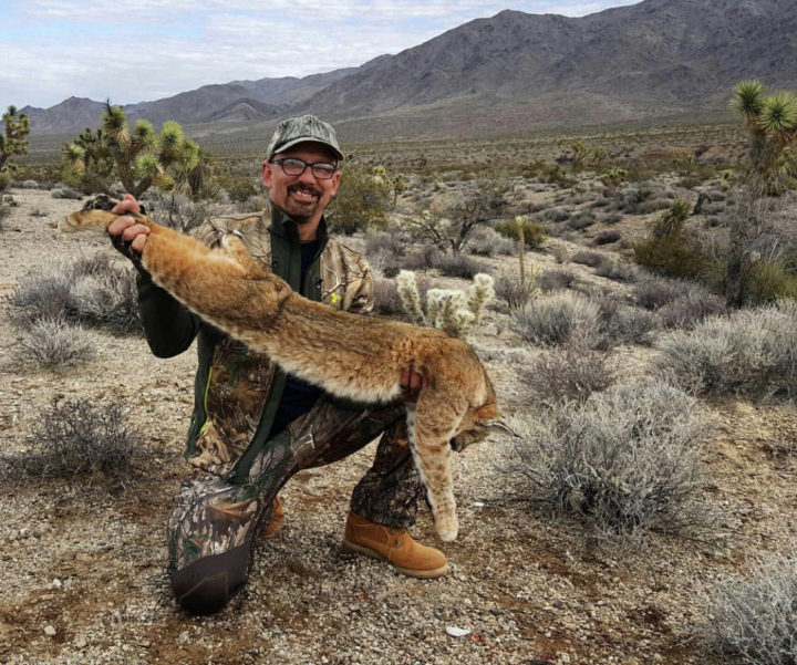 Tim's Arizona Bobcat