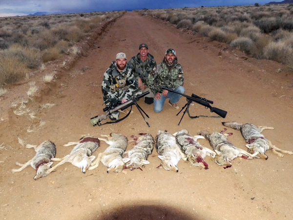 Guided Coyote Hunts in Arizona - Predator Exclusives