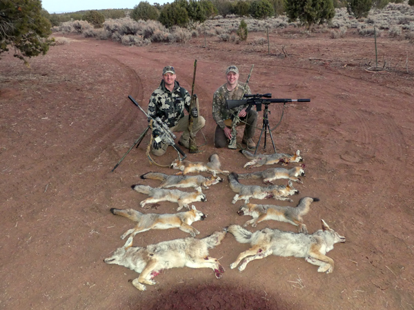 Guided Coyote Hunts in Arizona - Predator Exclusives