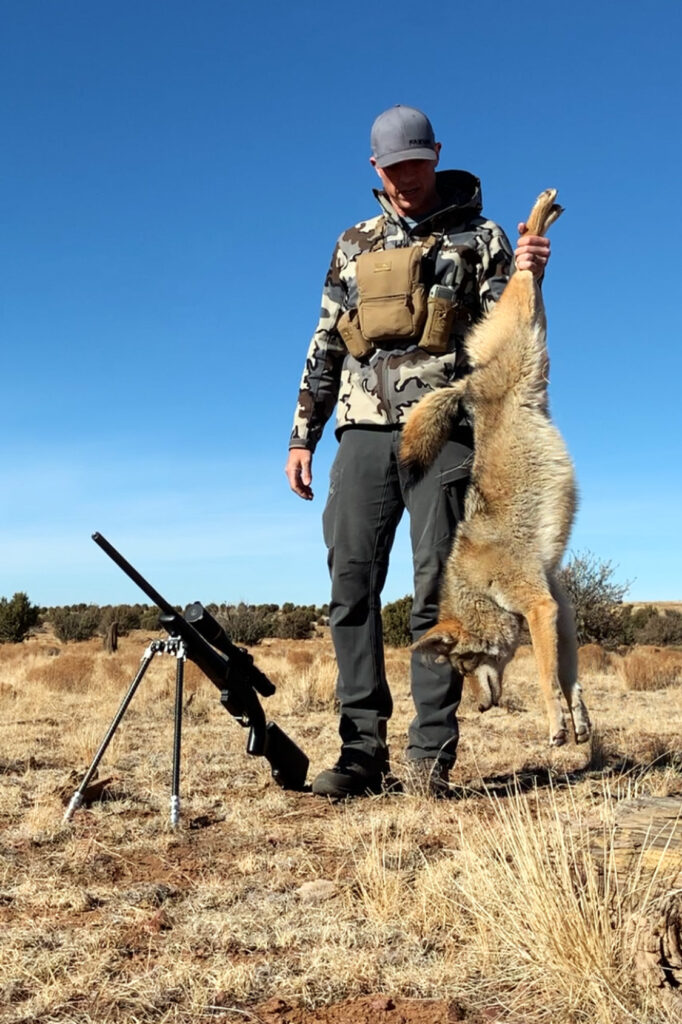 The Best Caliber(s) For Coyote Hunting - Predator Exclusives