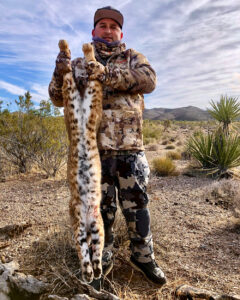 Arizona-Bobcat-Hunts-